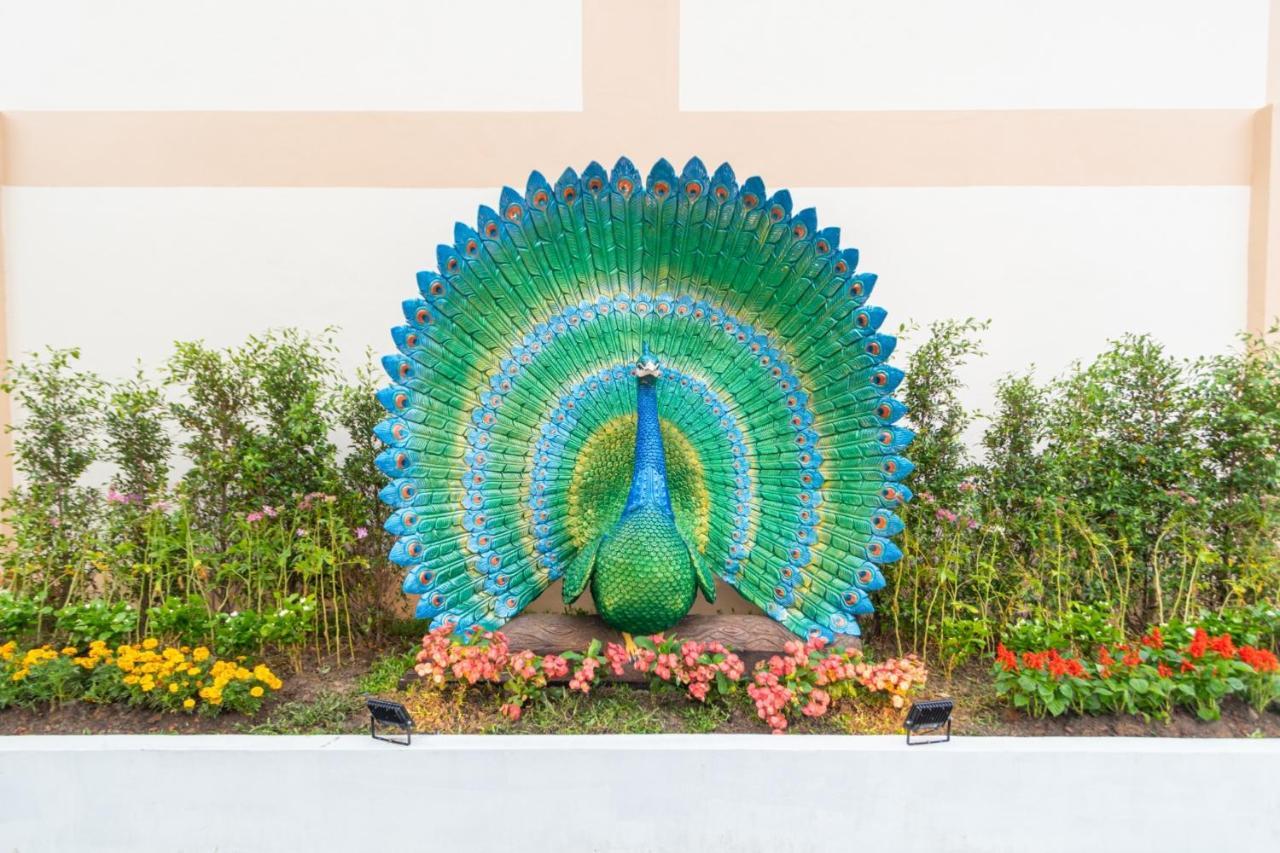 Peacock De Пай